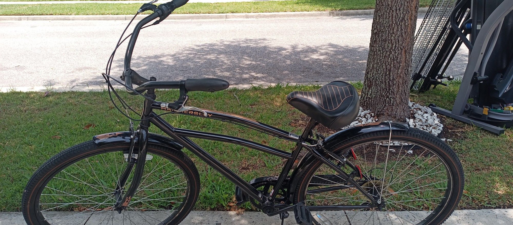 Schwinn Hammersley Bike