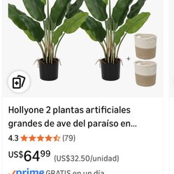 Set De Plantas Artificial 
