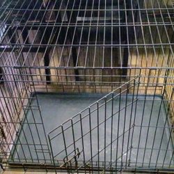 Dog Kennel 