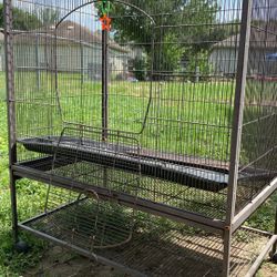 Bird Cage 