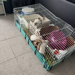 Guinea Pig Cage 