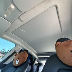 Automatic sunroof - Model y
