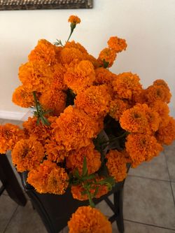 Marigolds