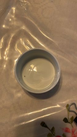 Small feeding bowl for small creatures