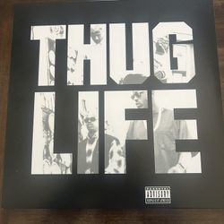 Vinyl 