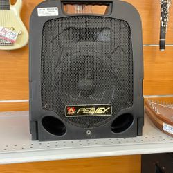 Peavey Speaker