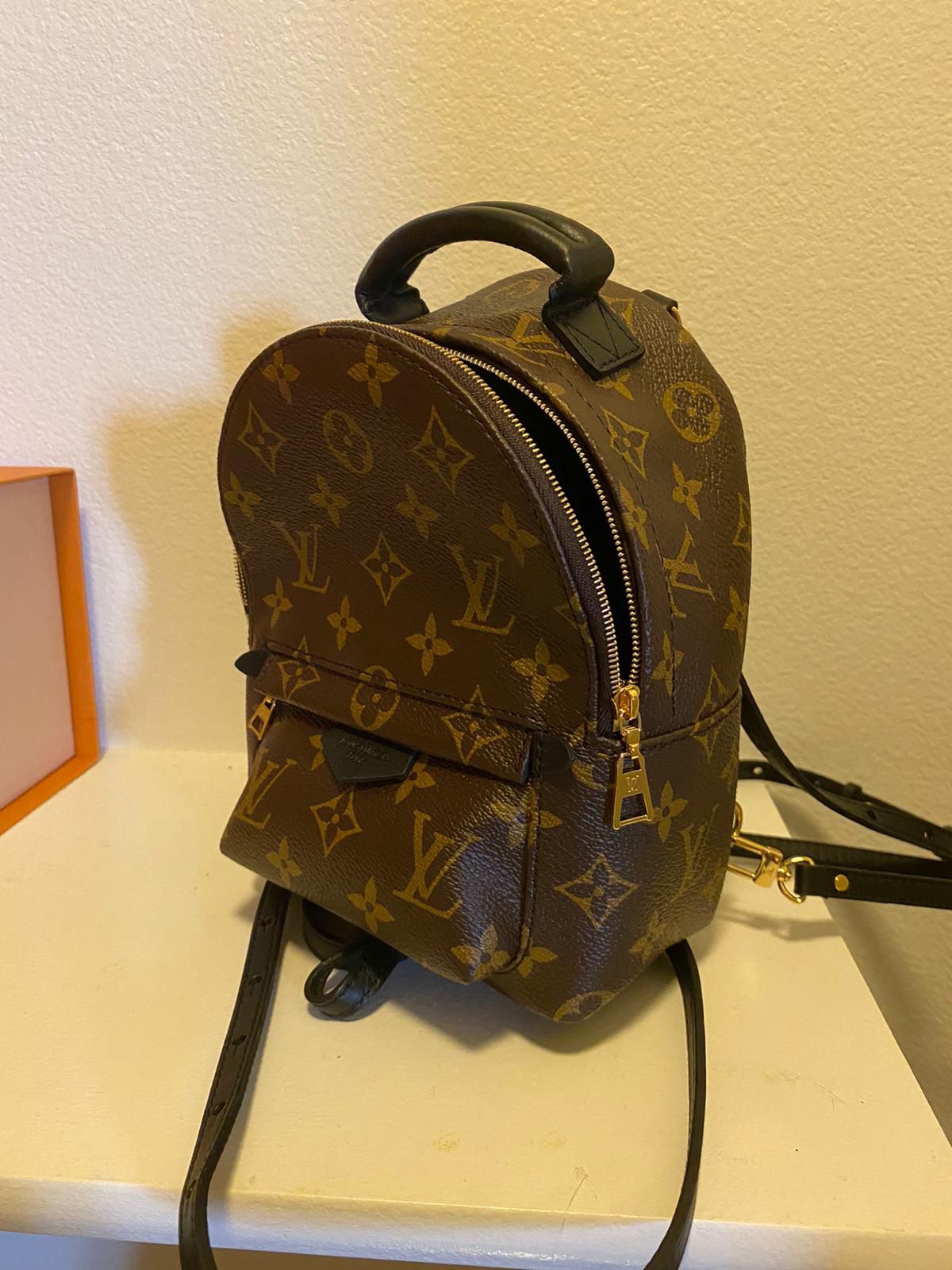 Louis Vuitton Palmspring Backpack New
