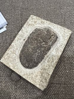 Fossil Poop (Copilot) $125 Each