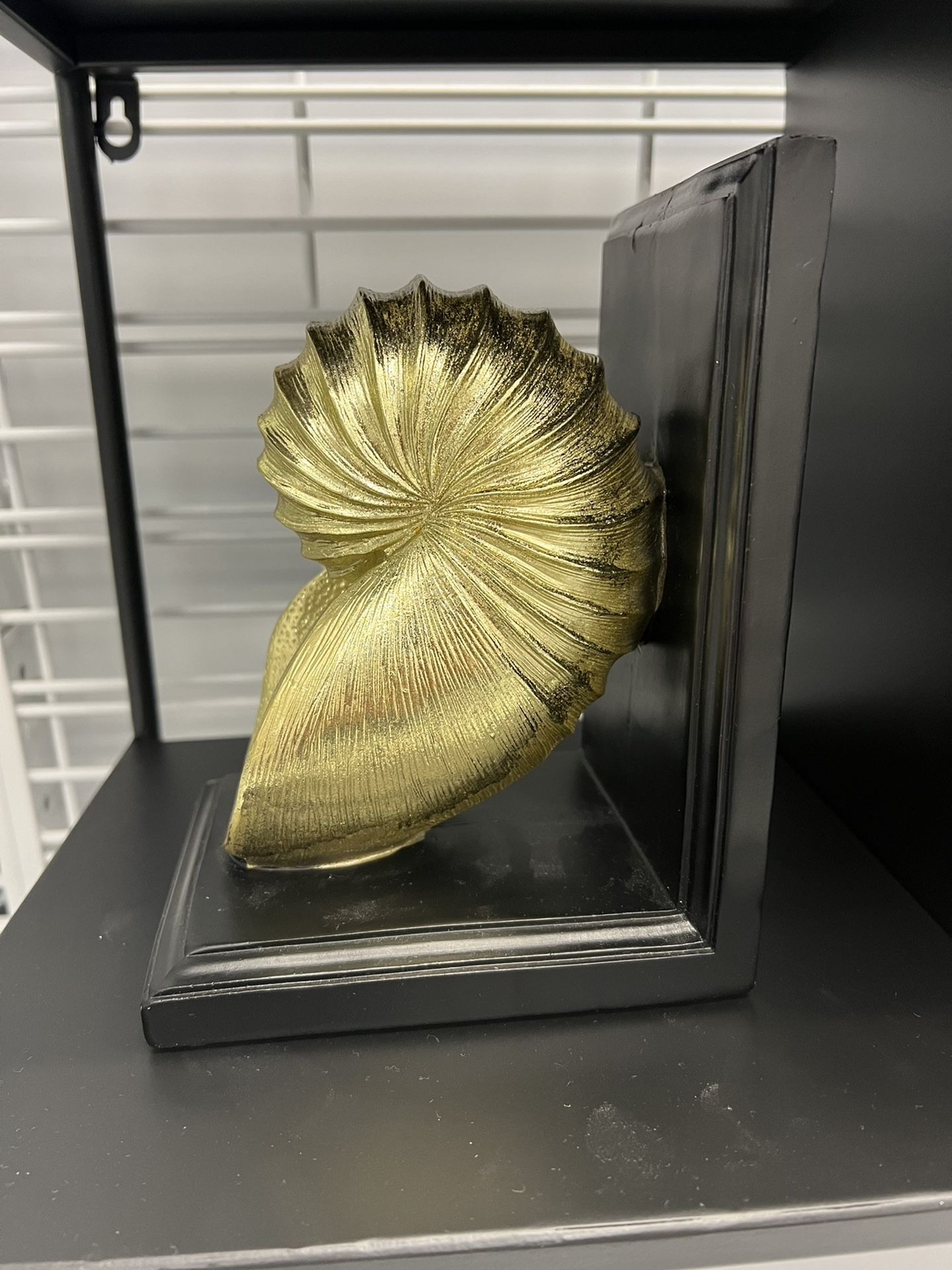 Sea Shell Statue For Decor