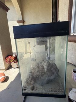 Glass Fish Tank Aquarium with Lid and Rock