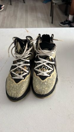 Le bron nike