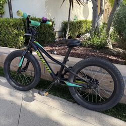 Specialized Hotrock Kids Bike