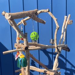 Funky Curvy Macaw Perch Tree .., Lots Of Fun For That Gnarly Macaw! ❤️