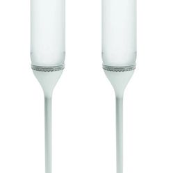 Vera Wang Love  Champaign Flutes
