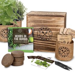 Indoor Herb Garden Starter Kit