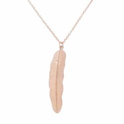 Rose Gold and a Silver Feather Charm & Chain