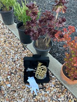 Pocket Trumpet with Case