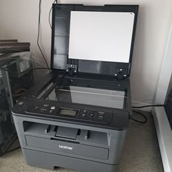 Brother HL-L2390DW