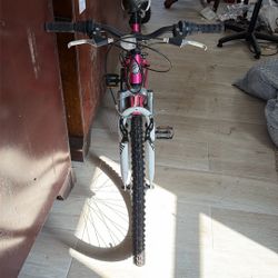 A Nice New Bicicleta 