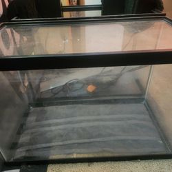 20 Gallon Fish Tanks