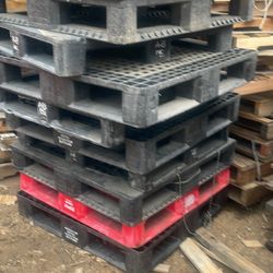 Plastic Pallets 