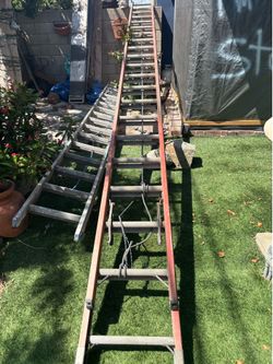 Two ladders Warner