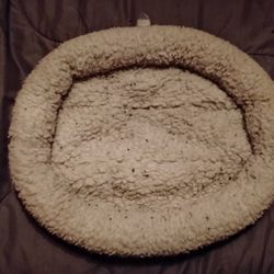 Cat Bed 
