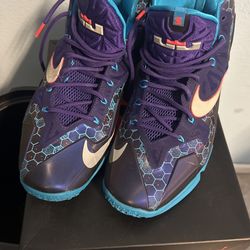 Nike Lebron