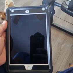 Ipad mini