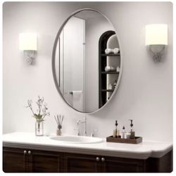 Brushed Nickel Oval Mirror,24 x 36 Inch Bathroom Mirror Brushed Nickel Stainless Steel Metal Frame, Oblong Mirror Pill Shaped Mirrors for Bathroom Wal