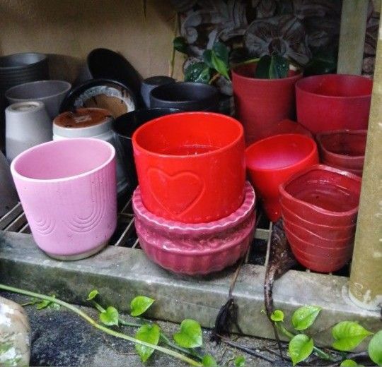 Houseplant Pots Ceramic