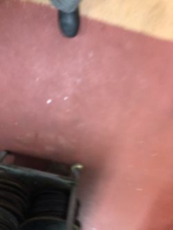 1998 Dodge Ram 1500 v8 or trades !