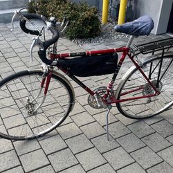 Vintage 1970 Centurion Le Mans Bicycle