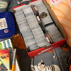 huge pokemon lot