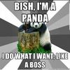 Panda
