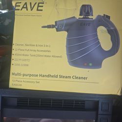 Handheld Steamer