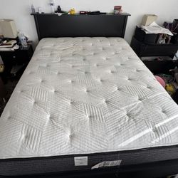 Queen Bed Set (mattress, Box Spring, Frame, And Headboard)
