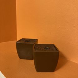 Two small plant holders 