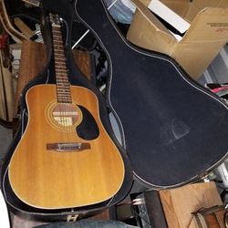 Pan Guitar PH500