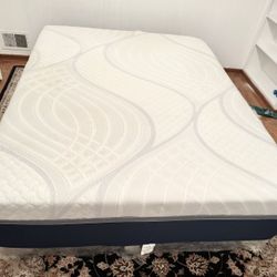 Queen Mattress & Box spring