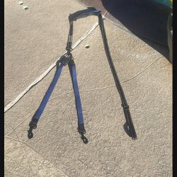 Double Dog Leash