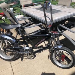 Schwinn Special Edition Mata