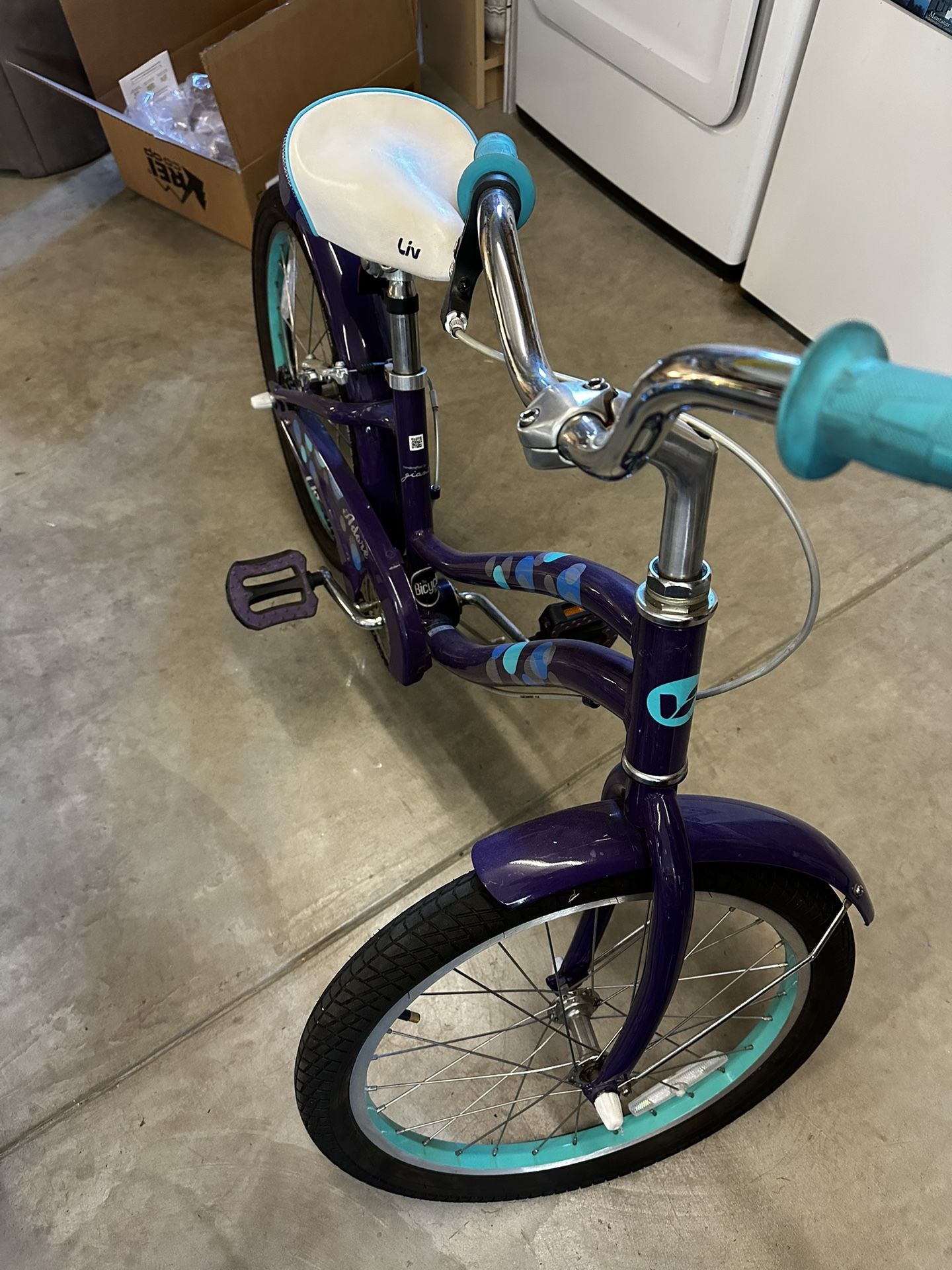 Kids Giant Brand Bike
