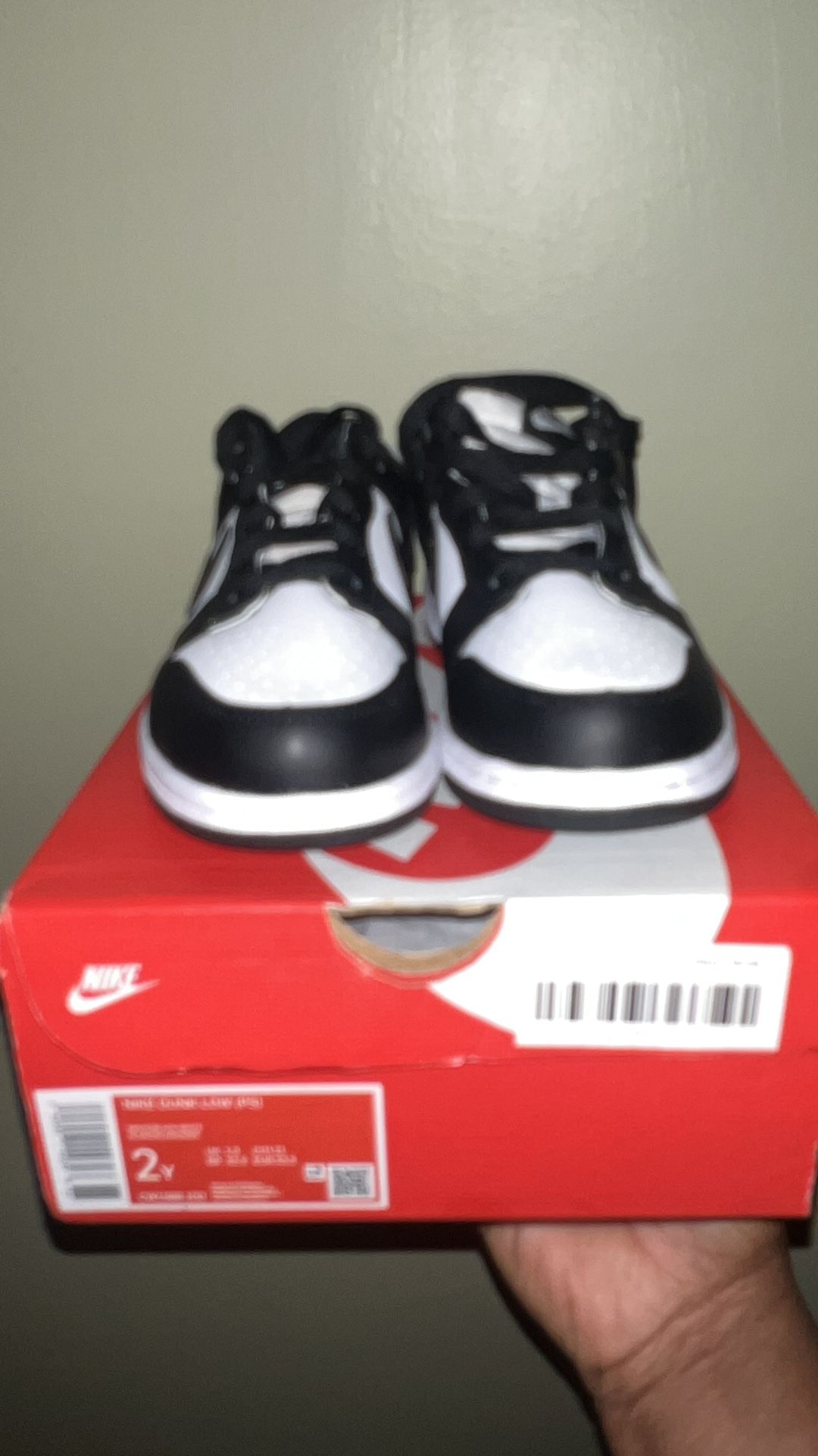 Brand New panda Dunks