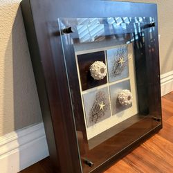 Set of 2 Large 21.5” Coastal Seashell Shadow Box Wall Art