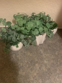 White Vases /Succulents