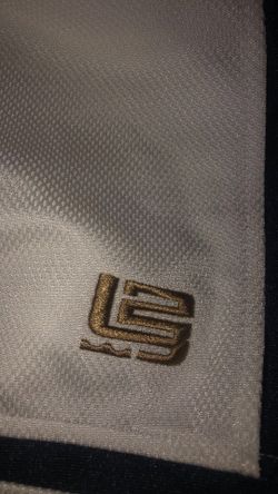 Vintage Nike Lebron 2 midnight shorts