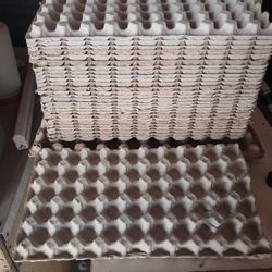 Quail Egg Cartons 