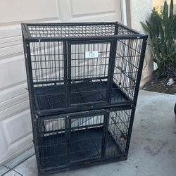 Dog Kennel