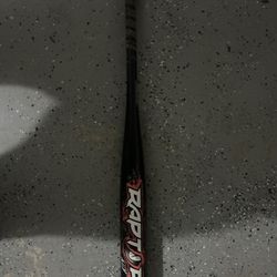 Bat